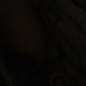 Meet your Posher, Sandy